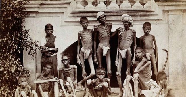Големият глад в Индия в периода 1876 1878 г известен още