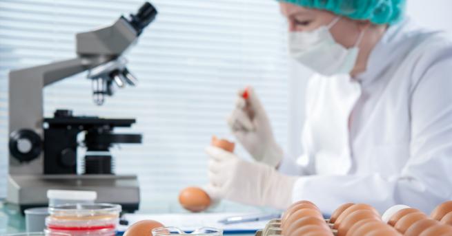 За първи път български производители на яйца са уличени в