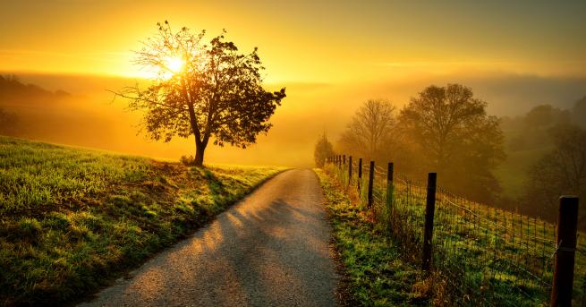 Добро утро в слънчева сряда Не забравяйте че каквито и