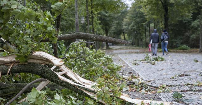 Мощният циклон Ксавие преминава през Северна Германия като бурята вече доведе