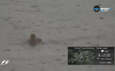 Водоплаваща птица се забавлява на дъждовна Сузука