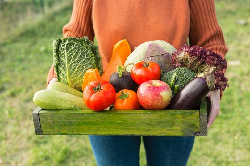 <p><strong>Премахнете пестицидите от плодовете и зеленчуците</strong><br />
<br />
Има един лесен начин да почистите вашите продукти и да ги направите по-безопасни за ядене. Добър метод за почистване на плодове и зеленчуци от пестициди е да накиснете продуктите в&nbsp;<strong>разтвор от сода и вода</strong>&nbsp;или да ги напръскате. След това ги изплакнете с вода.</p>