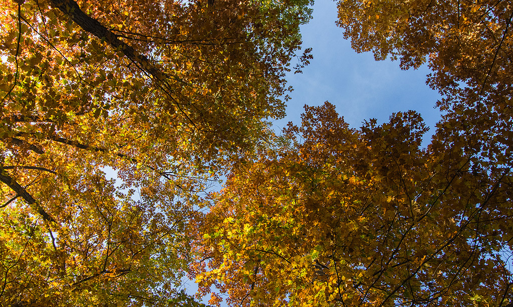 Хубава и топла есен в Борисовата градина - София