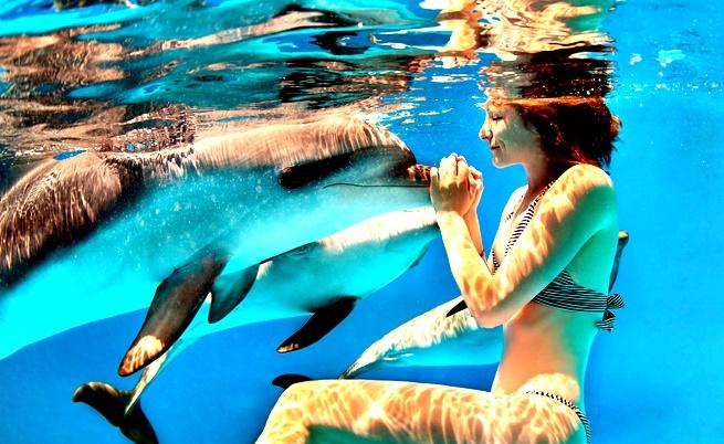  Как делфин се самоуби от обич към жена 