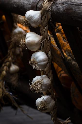  Трансилвания Румъния чесън 