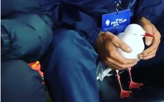 По време на един футболен мач могат да се случат