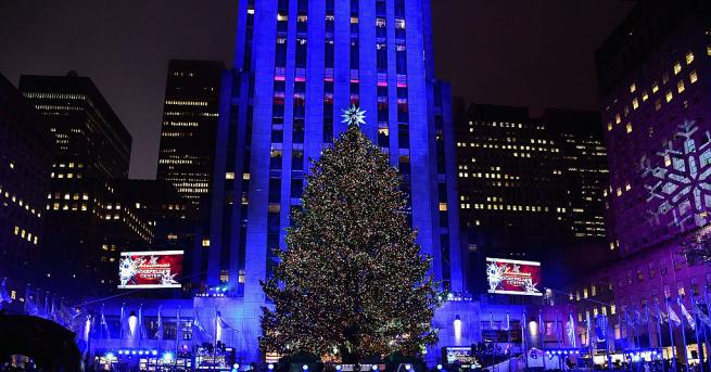 Най-голямото коледно дърво в Ню Йорк бе поставено на площад