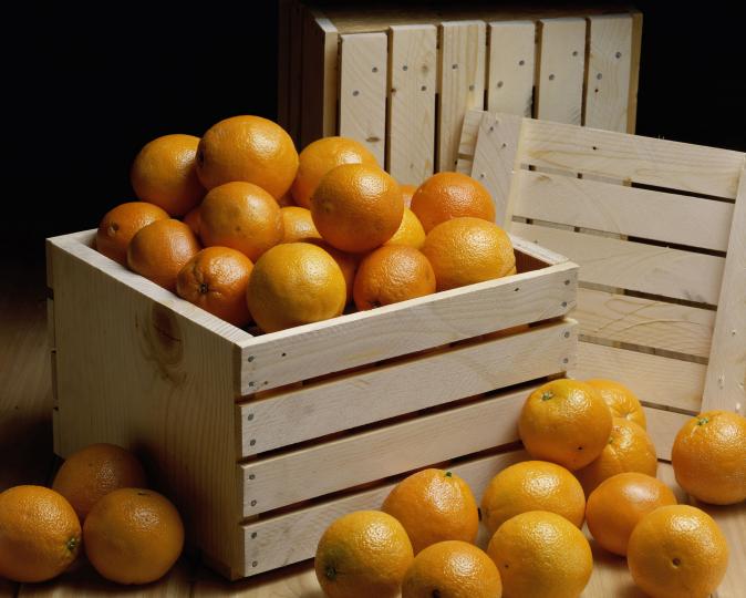 <p>Въпреки полезните си свойства портокалът е силен алерген, поради това при индивидуална непоносимост към пресни плодове, масло и сок от тях не трябва да се употребява.</p>

<p>За естествено се счита лекото парене и изтръпване на кожата на корема, бедрата седалището и раменете, когато правите вани с портокалово масло.</p>

<p>Не трябва да миете зъбите си веднага след яденето на портокал или пиенето на сок от него.</p>

<p>Съдържащите се в цитрусови плодове органични киселини размекват зъбния емайл и при по-грубо боравене с четката за зъби, е възможно да започне процес на компрометирането му.</p>