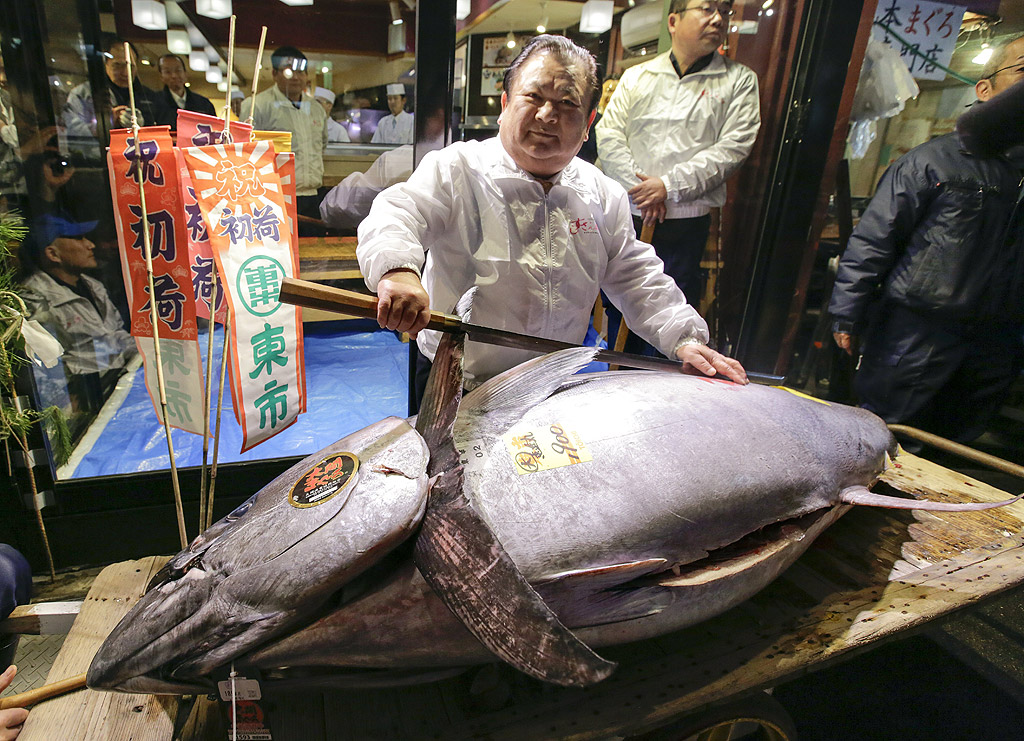 Миналата година самопровъзгласилият се за крал на рибата тон в Япония плати впечатляващата сума от над 630 000 долара за една-единствена риба. Киоши Кимура, собственик на верига за суши, даде сумата по време на първия за миналата година аукцион на риба в страната.