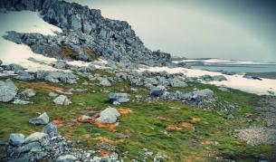 Къде на Земята е като на Марс