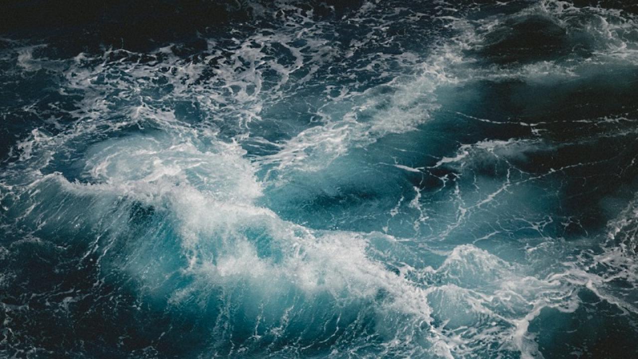 Снимка: unsplash.com