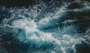 Снимка: unsplash.com
