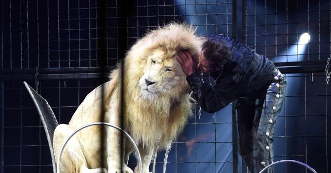 Британското правителство официално обяви, че изявите на животните в цирка