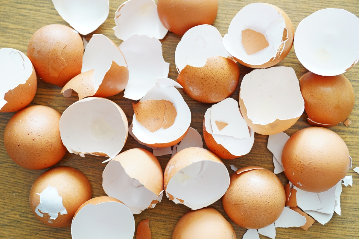 Черупките от яйца могат да предизвикат големи проблеми. 