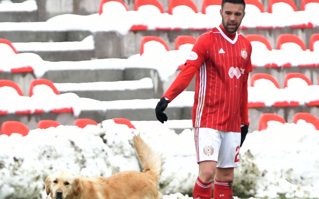 Симпатично куче влезе на терена в началото контролата ЦСКА Струмска