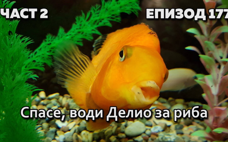 Спасе, води Делио за риба
