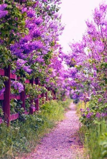 Дневен хороскоп, 4 април, сряда - снимка 9