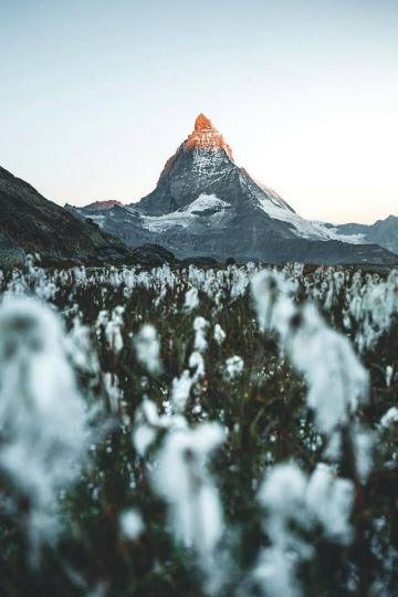 Дневен хороскоп, 4 април, сряда - снимка 6