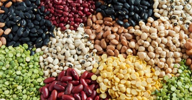 Здравословният начин на живот в днешно време се превръща във