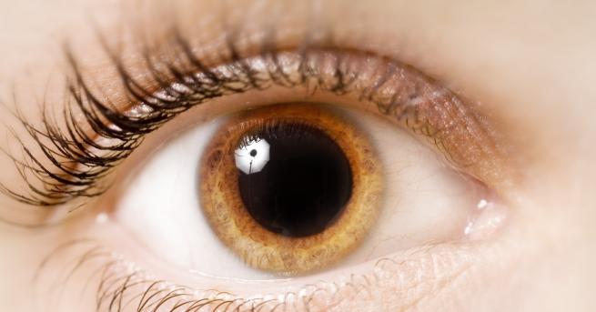 Роуз Лин Фишър се чуди дали сълзите на скръбта са