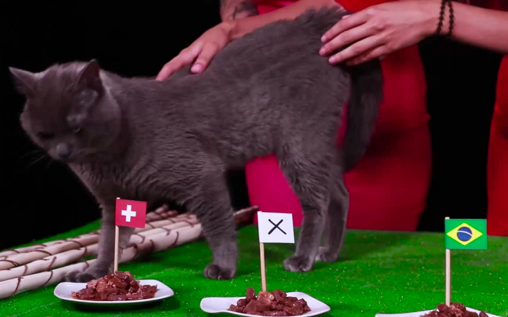 Мъркащият ВладИмир предрече 2 истински сензации!