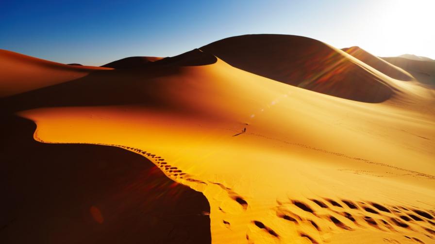 Пустинята Сахара