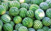 Продавач удари клиент с диня по главата край Кюстендил