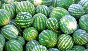 Продавач удари клиент с диня по главата край Кюстендил
