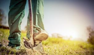 Коронавирусът е заплаха за селското стопанство в Европа