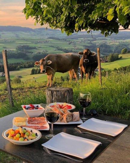 Дневен хороскоп, 20 юли, петък - снимка 4