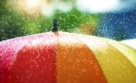  <p>Порой наводни София</p> 