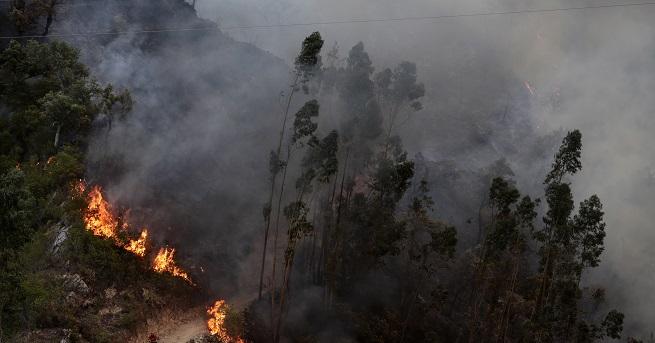 Над 700 пожарникари се борят с огромен горски пожар в