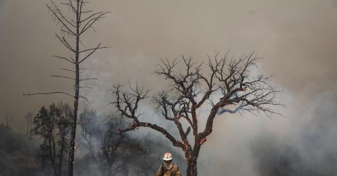 Иберийският полуостров е под натиска на рекордно високи температури които