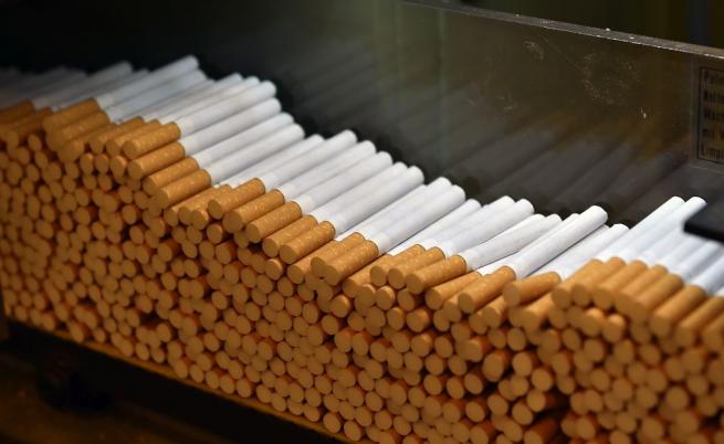 Разкриха мрежа от 4 незаконни цигарени фабрики 