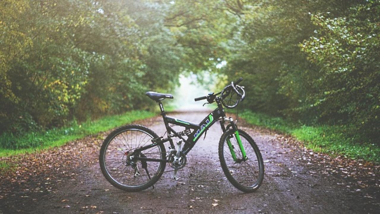 Снимка: pixabay
