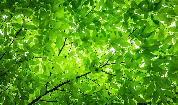 Снимка: pixabay