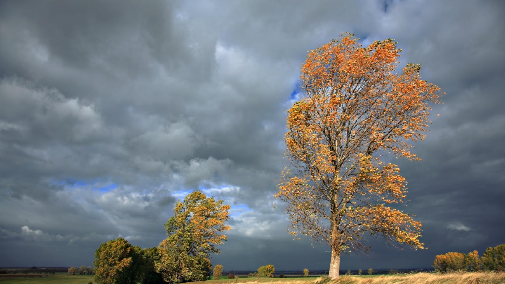 Предупреждение от първа степен – е издадено за 12 области
