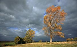  Буря нанесе вреди в Русенско, през днешния ден мощен вятър в 8 области 
