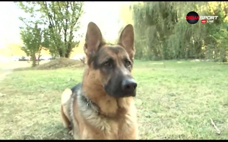 Нечовешки футбол: Стефан Велков и Рио