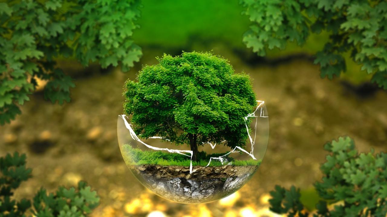 Снимка: pixabay