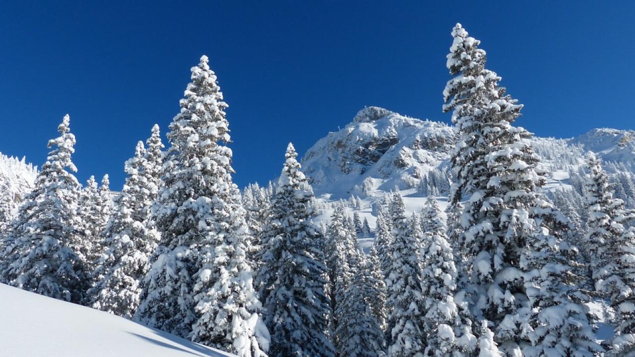Снимка: pixabay
