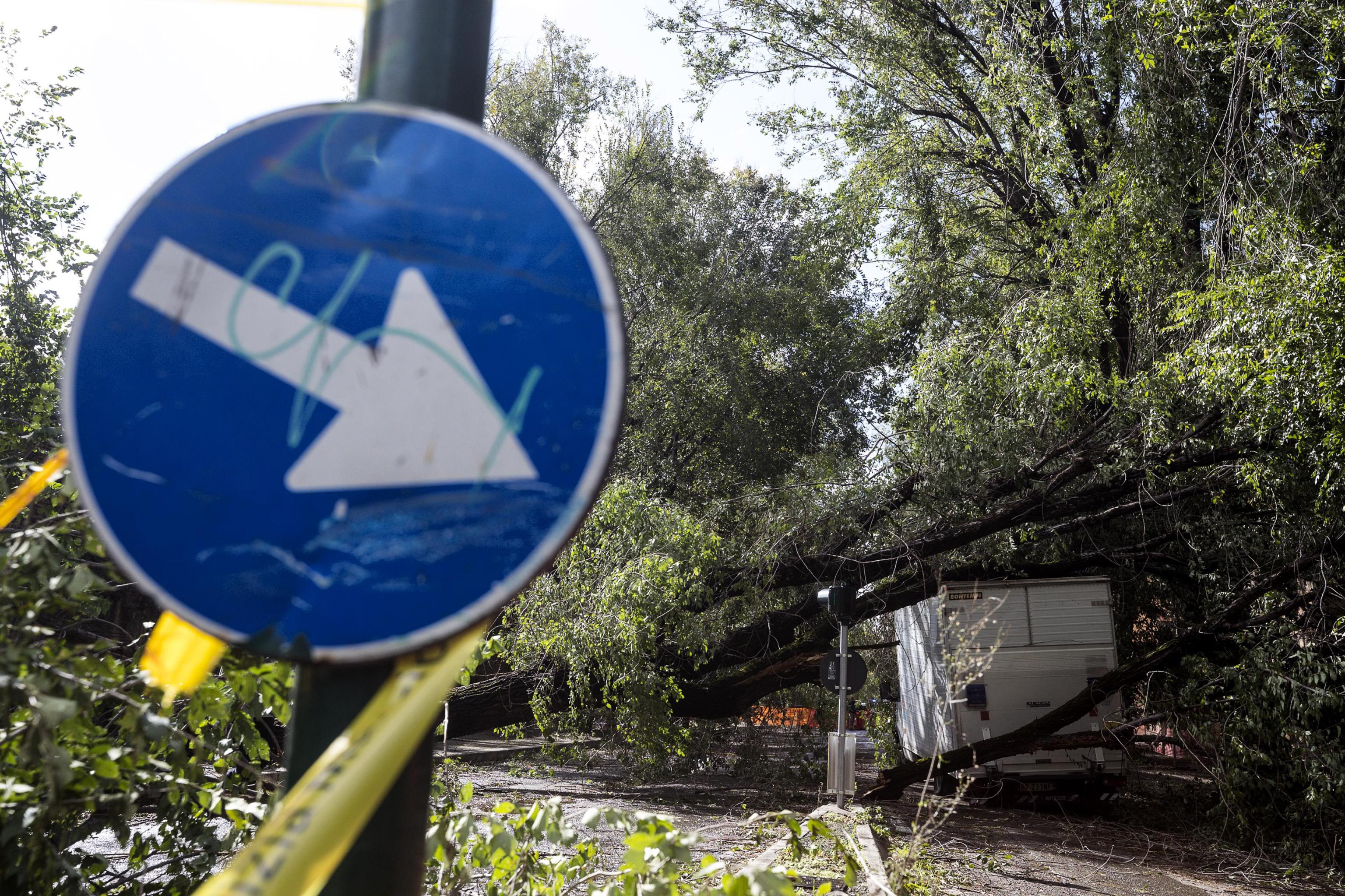 Дванадесет души загинаха в Италия заради лошото време, обхванало целия полуостров от няколко дни. 75% от Венеция беше залята от приливна вълна. Нивото на водата на емблематичния за града площад „Сан Марко“ достигна рекордните 156 см.