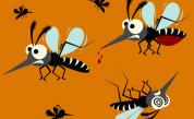  Комари: Какво не знаем за тях 