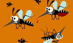 Какво ще се случи, ако всички комари на Земята умрат