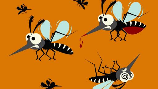  Комари: Какво не знаем за тях 