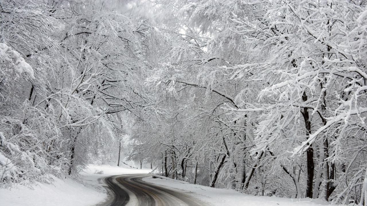 Снимка: pixabay