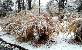  Ще има градушки. Рязка промяна на времето 