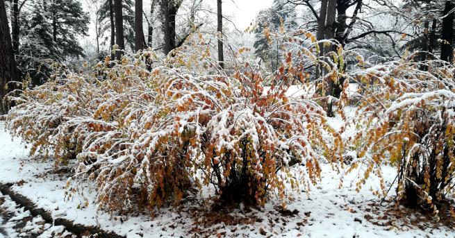 България Ще има градушки Рязка смяна на времето Сняг ще