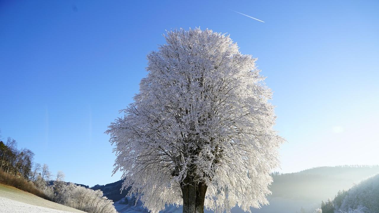 Снимка: pixabay