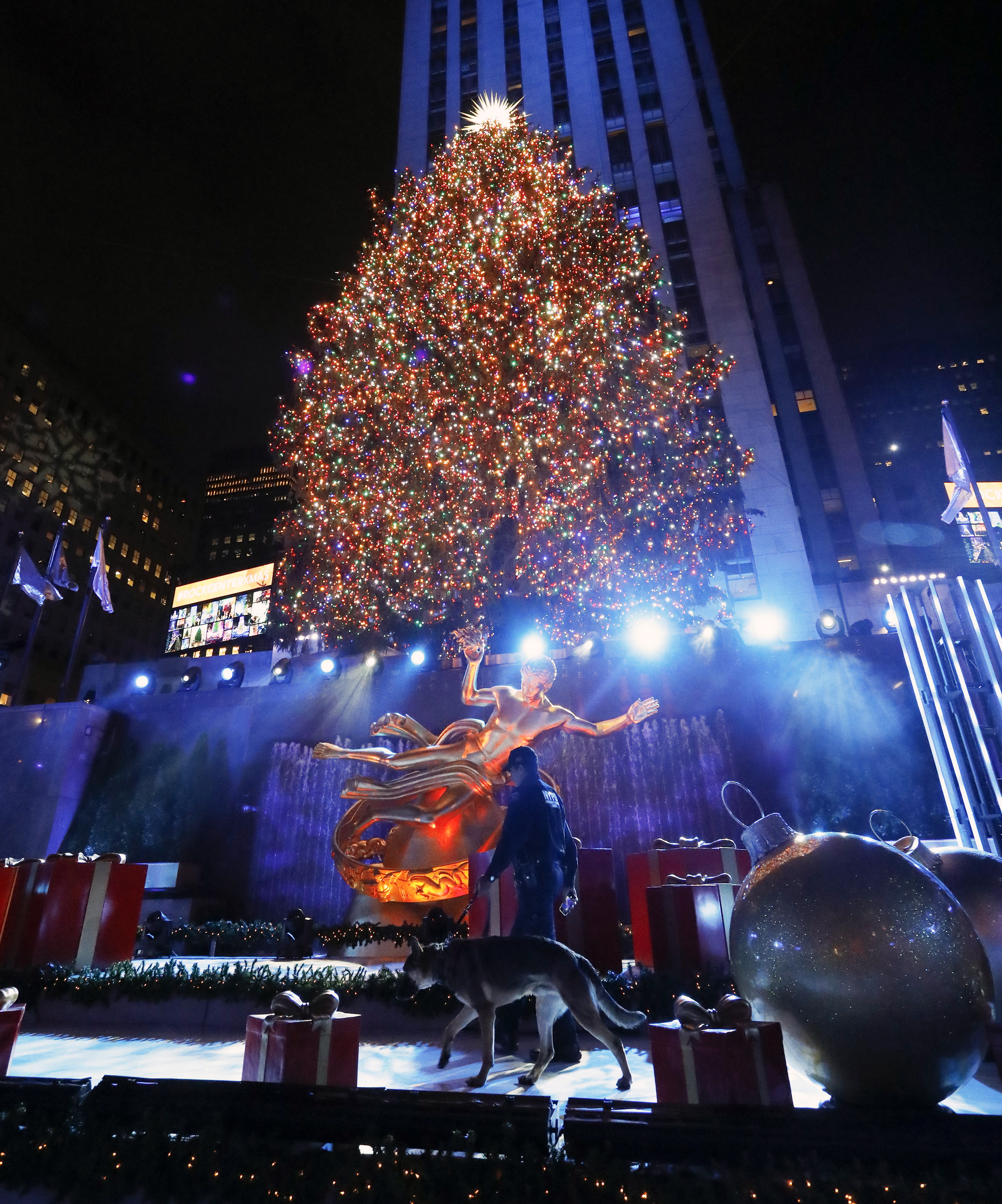 Светлините на голям норвежки смърч, инсталиран пред центъра "Рокфелер" в Ню Йорк, бяха запалени по традиция преди Коледа.